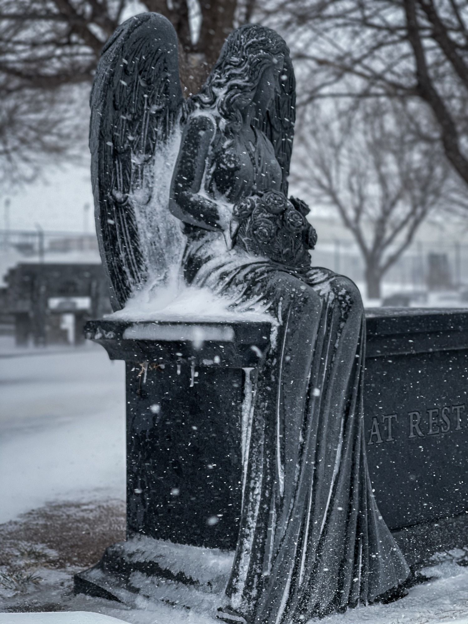 Snow-covered cemetery angel statue for Quiet Echo After Dark